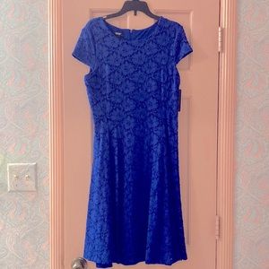 NWT Alfani Petite Cobalt Blue Lace Dress, 8P